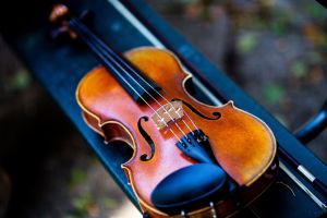 44 - Characteristics of selected violin models availabled in our wholesaler's