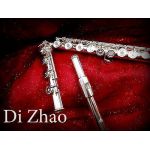DI Zhao DZ-801 CEF flet poprzeczny srebrny