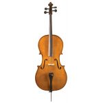 Strunal Cello Academy Salzburg 4/17 WE 1/4